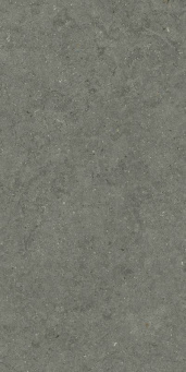 Форум Стоун Айрон 60x120